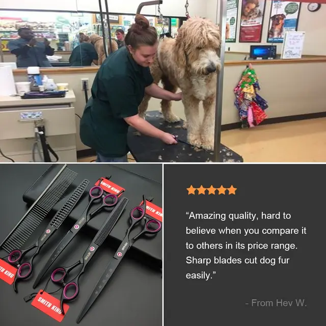 Doggroomersrock.org