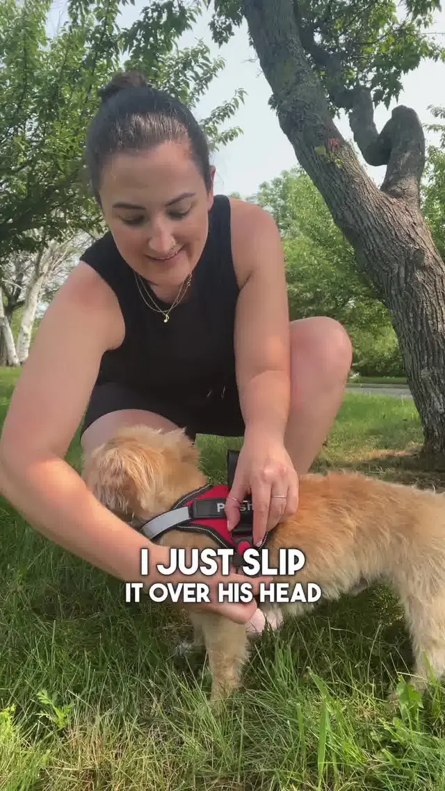 HarnessBuddy