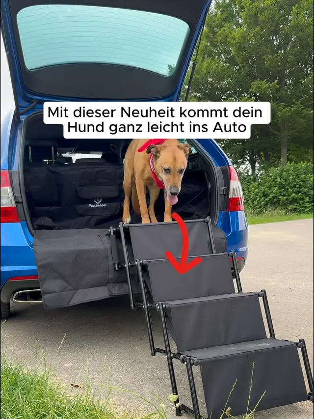 Fellbengel