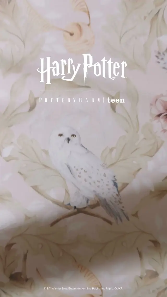 Pottery Barn Teen
