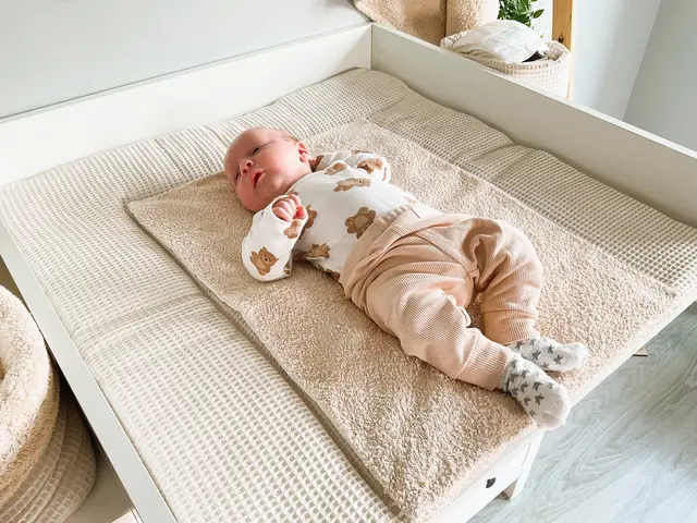 Sleepe Sheep