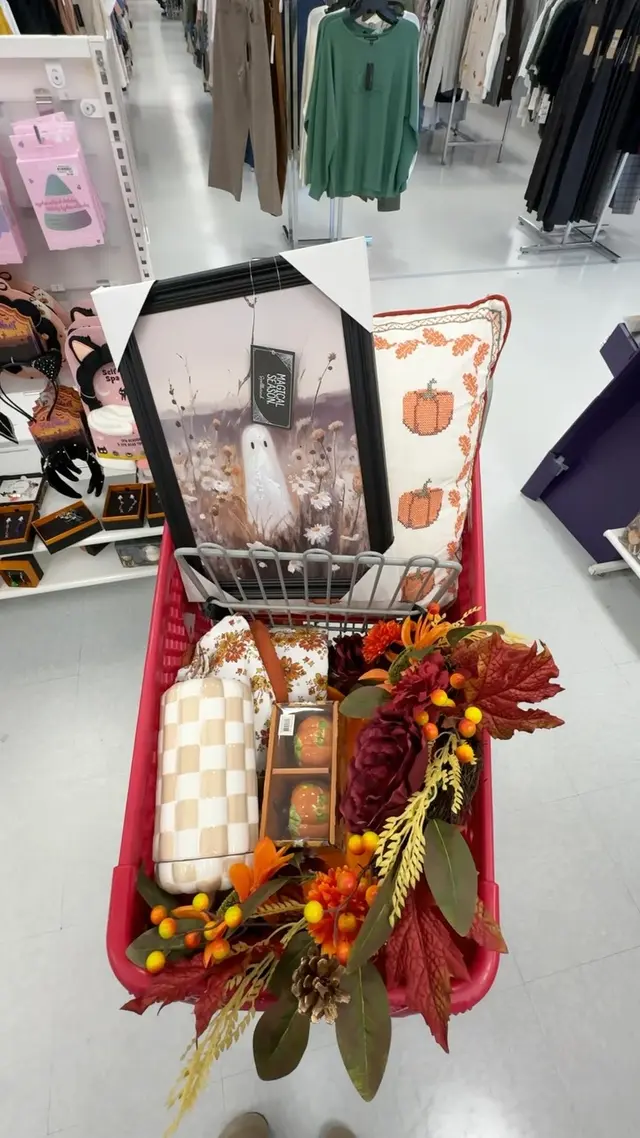 Lauren’s Suitcase