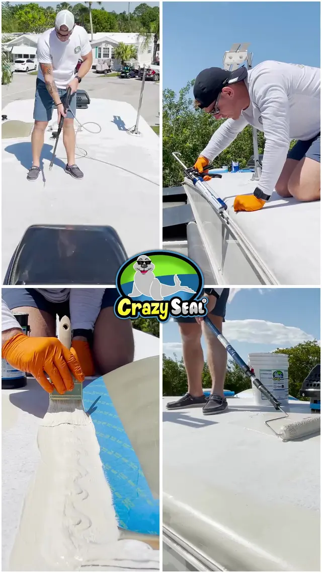 Crazy Seal