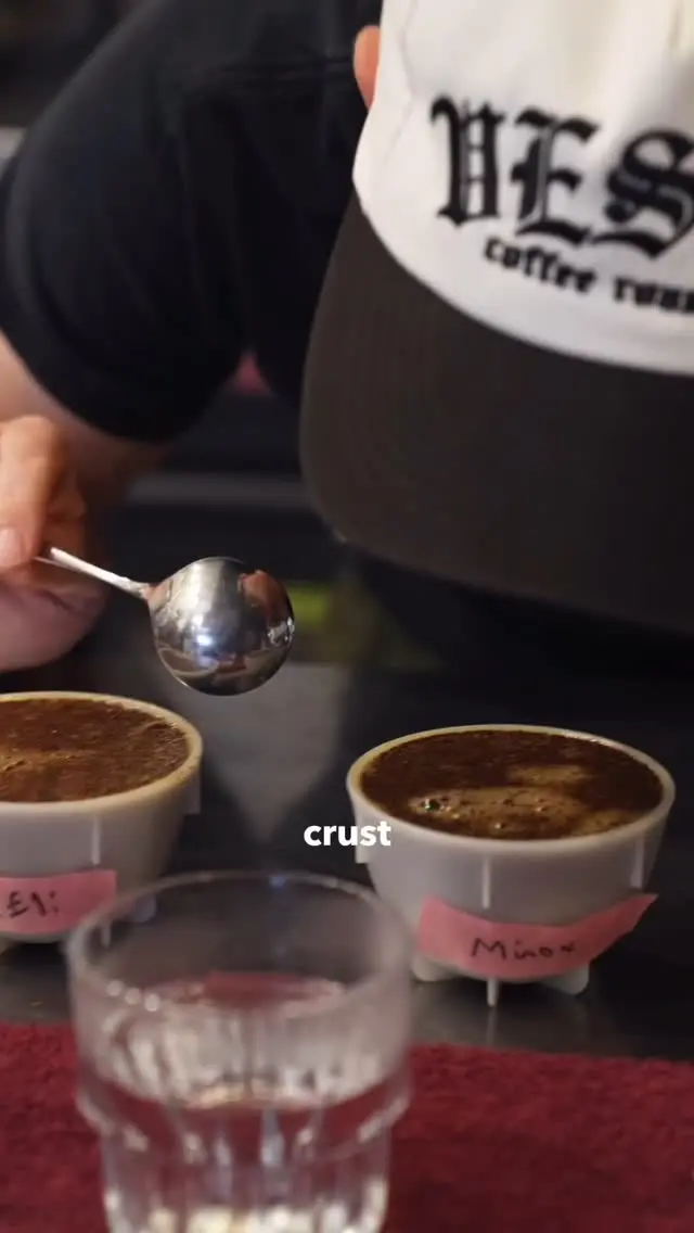 Vesta Coffee Roasters