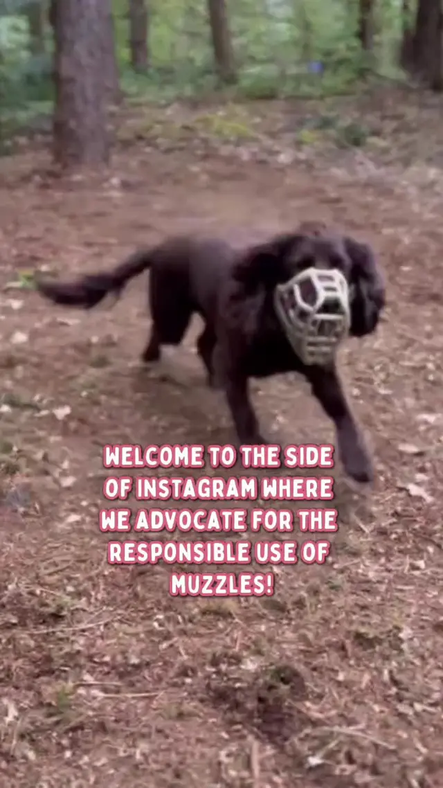 The Muzzle Movement