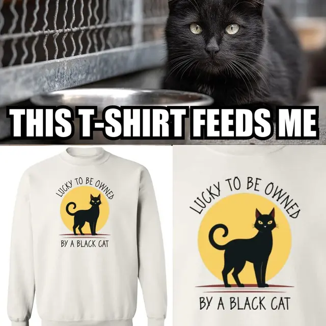 iHeartCats.com
