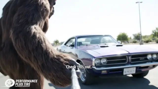 Performance Plus Tire and Automotive Superstore