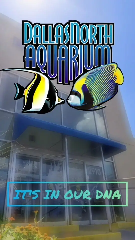 Dallas North Aquarium