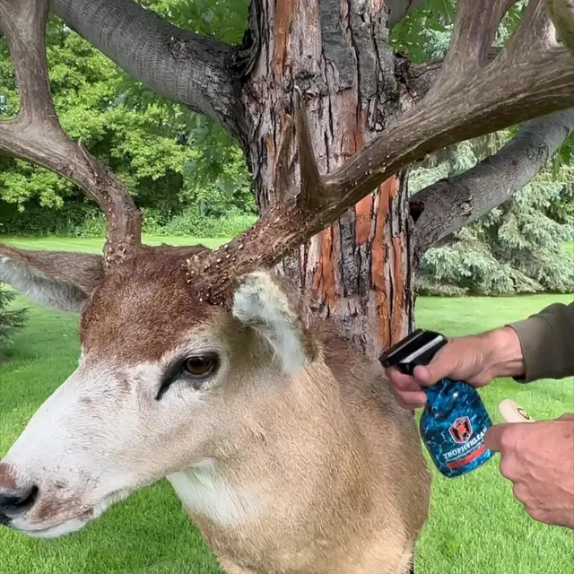 Velvet Antler Technologies