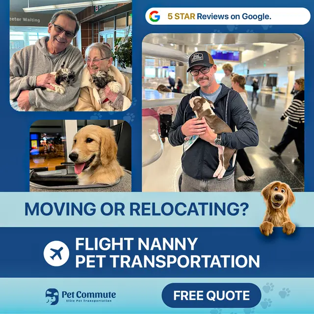 petcommute