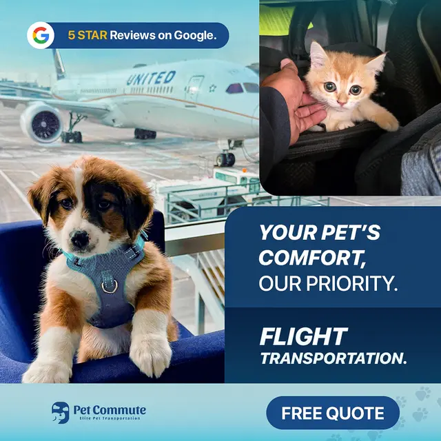 petcommute