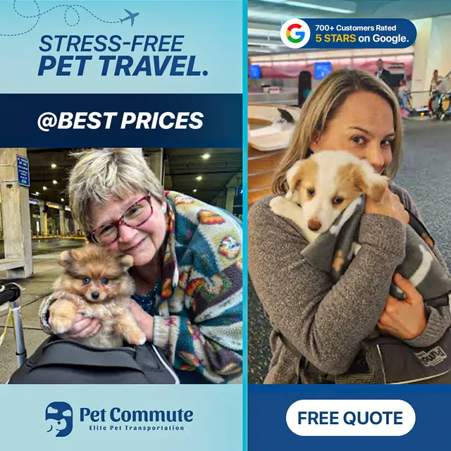 petcommute