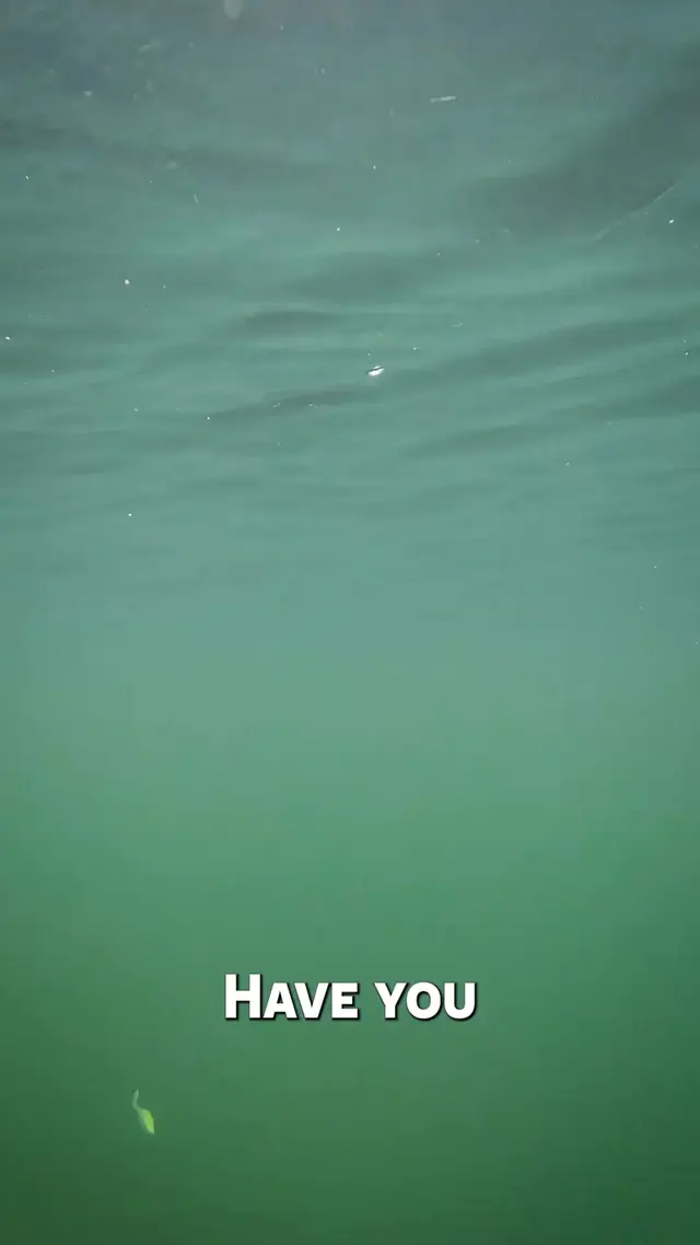 Core Tackle