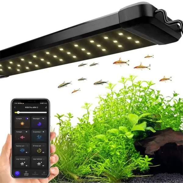 Hygger Aquarium