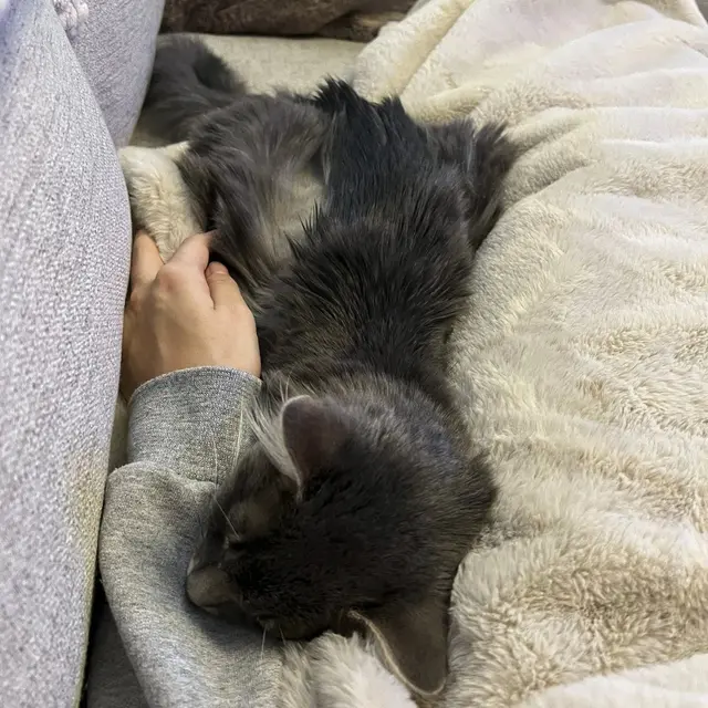 Maxpaw Health