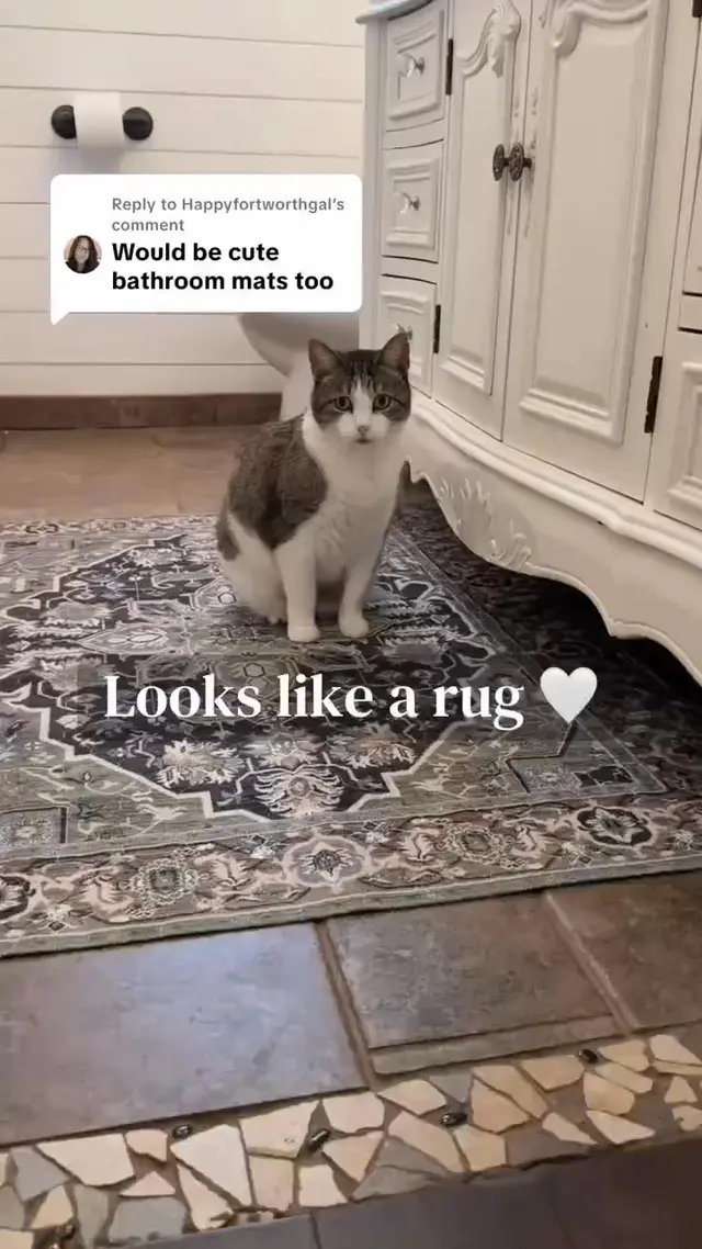 Furry Basics
