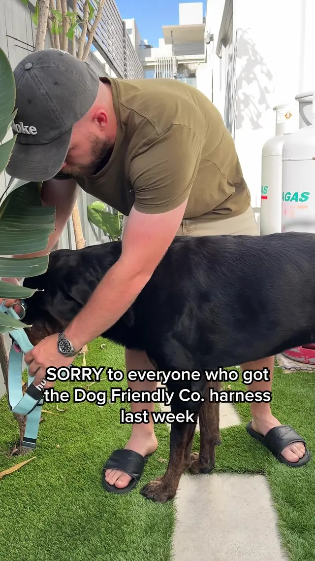 Dog Friendly Co.