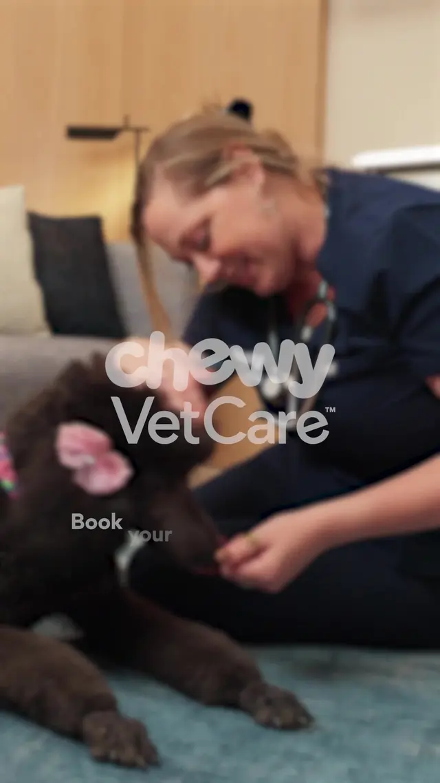 Chewy Vet Care