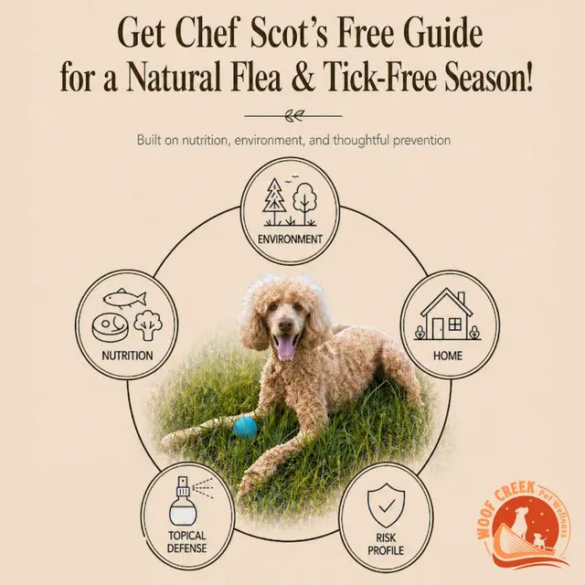 Woof Creek Pet Wellness