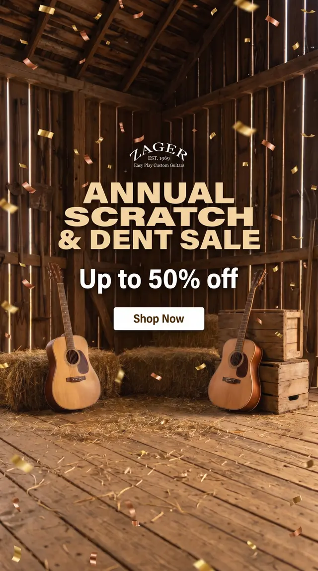 Zager Easy Play Custom Guitars