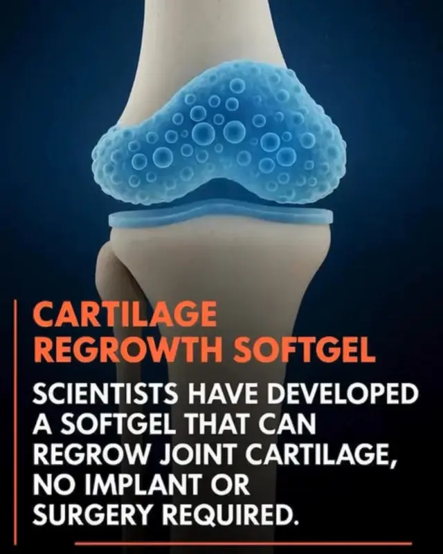 Regensil