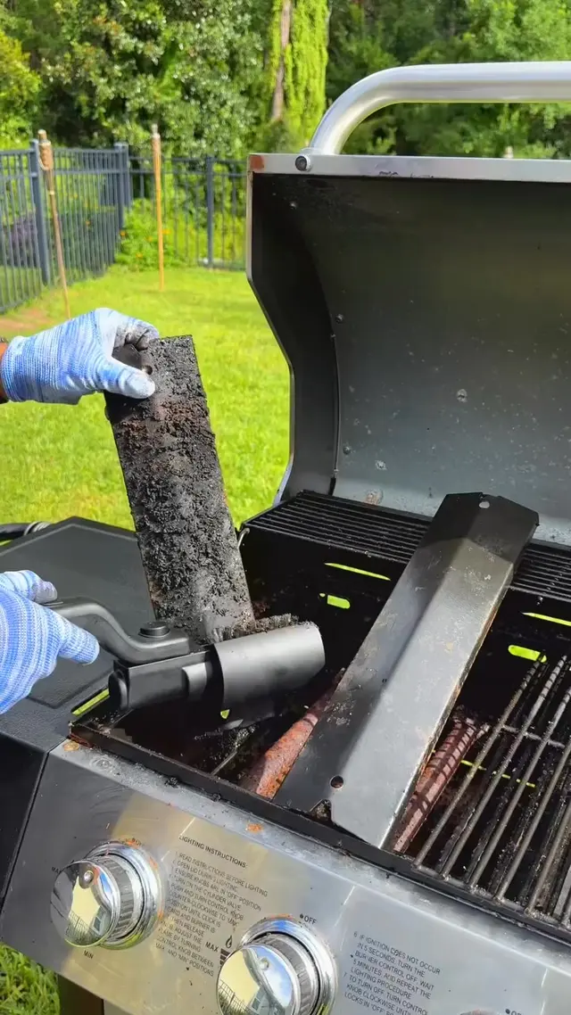 Grillhamster
