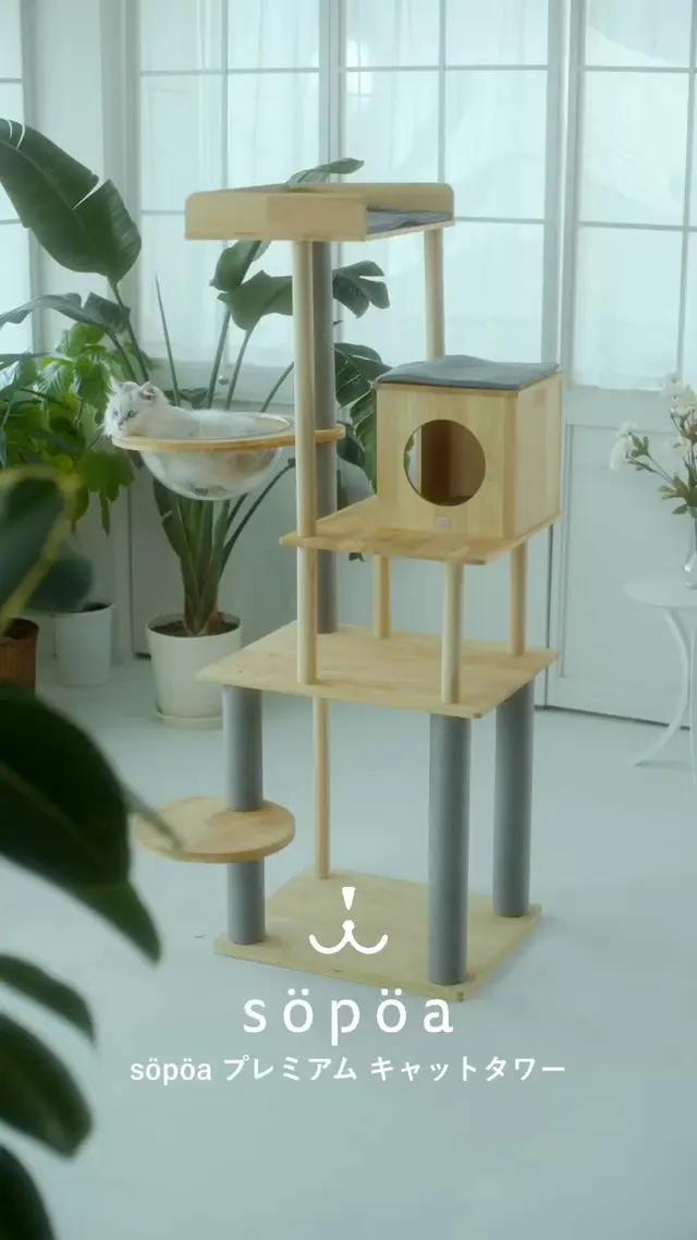 Söpöa
