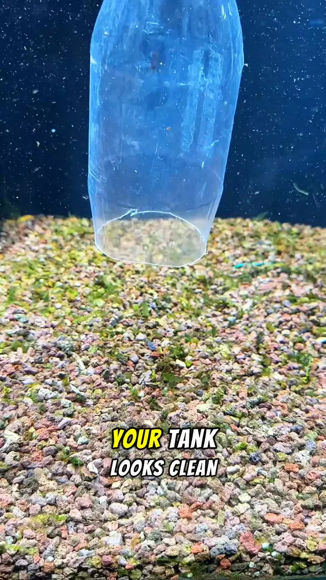 Hygger Aquarium