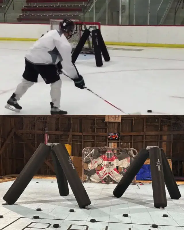 Potent Hockey