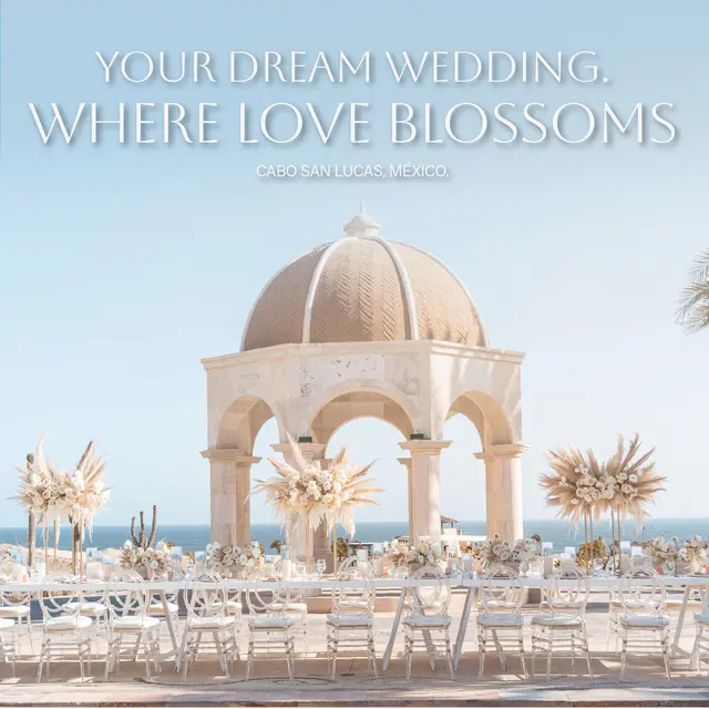 Solmar Hotels & Resorts