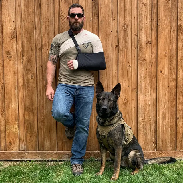 Modern Working Dog
