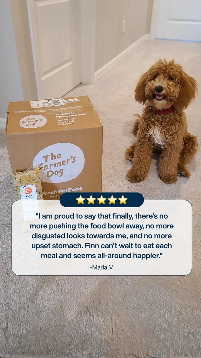 My Subscription Addiction Pets