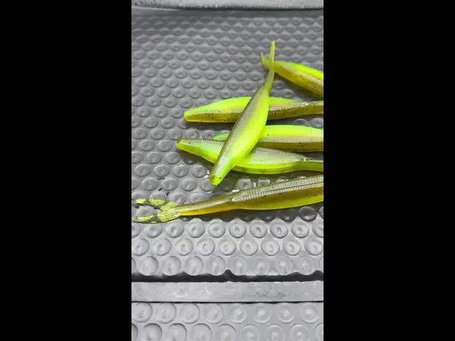 Catch More