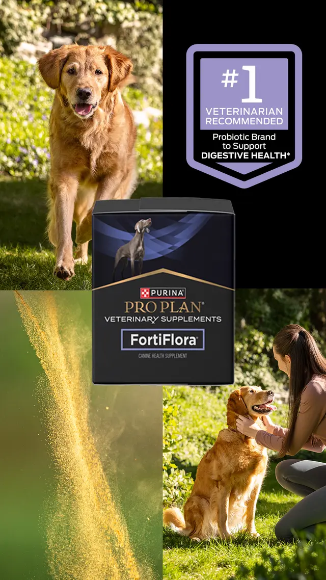 Purina Pro Plan Vet