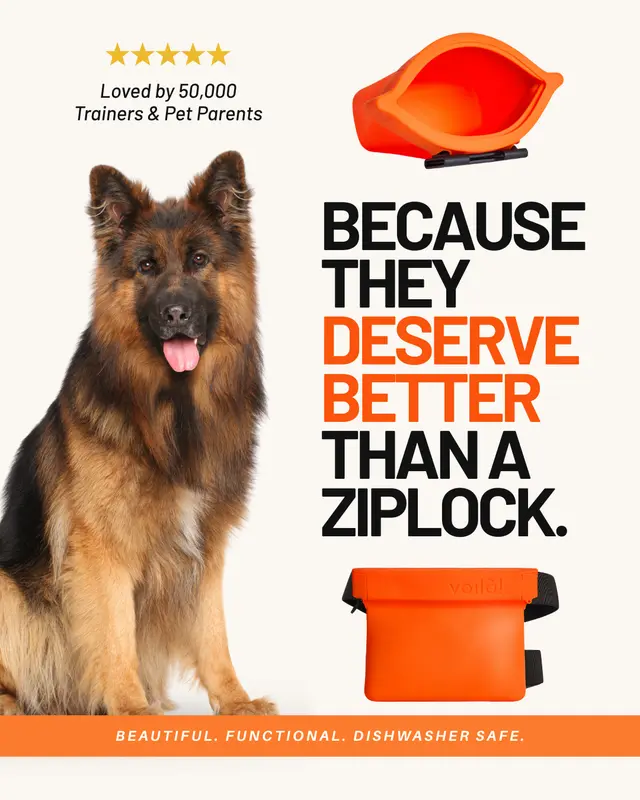 Voilà Pets