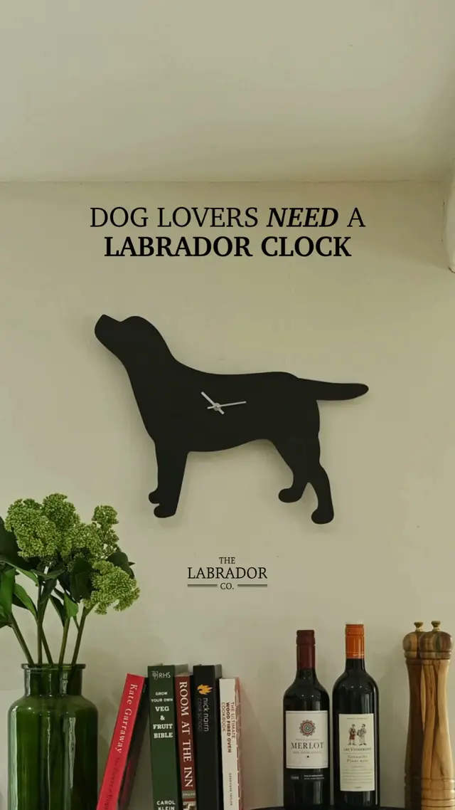 The Labrador Company