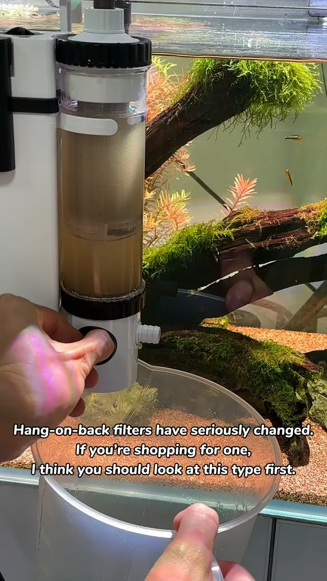 Hygger Aquarium