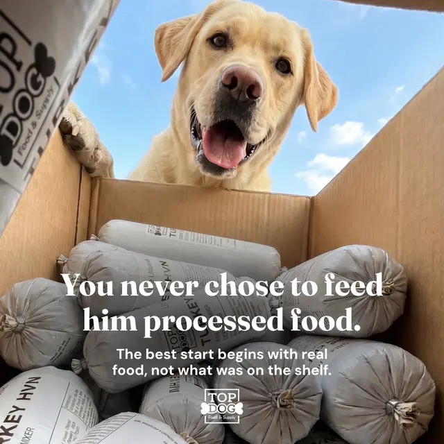 Top Dog Food & Supply