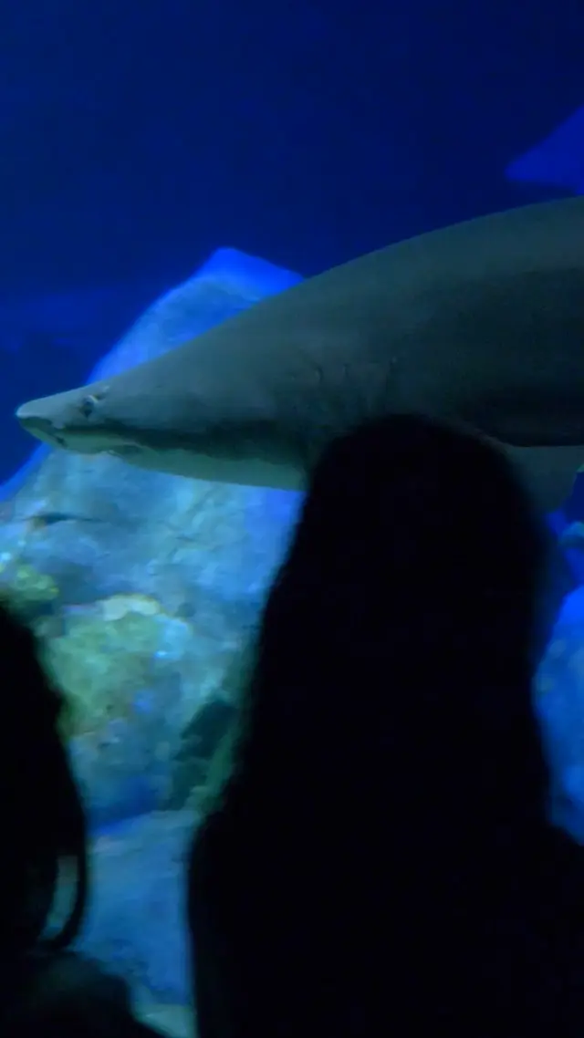 New York Aquarium