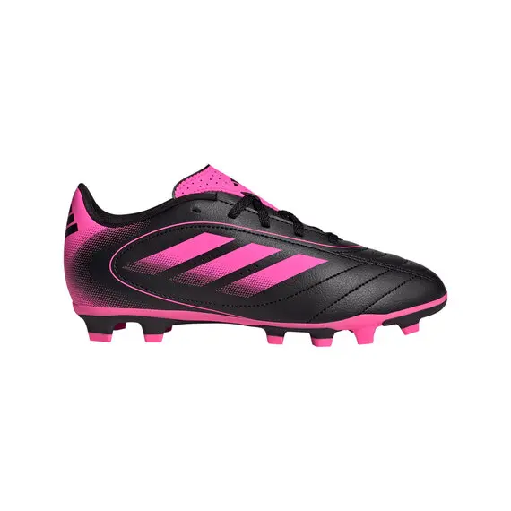 Big 5 Sporting Goods