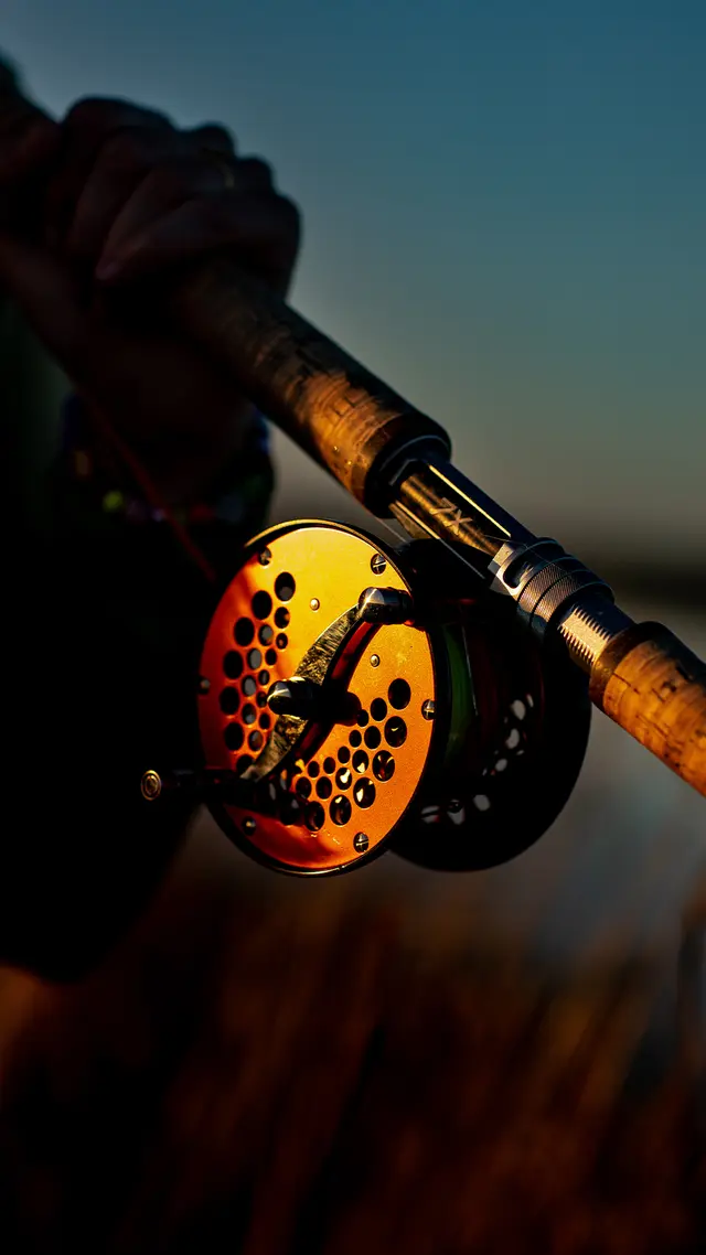Loop Tackle