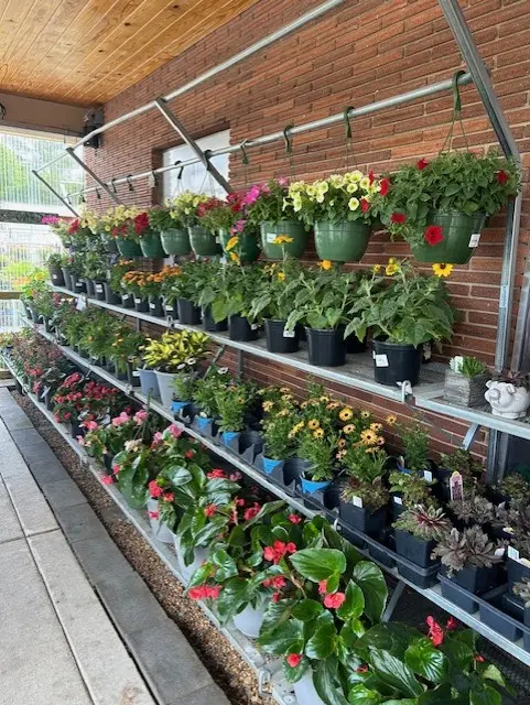41 Feed and Garden Center