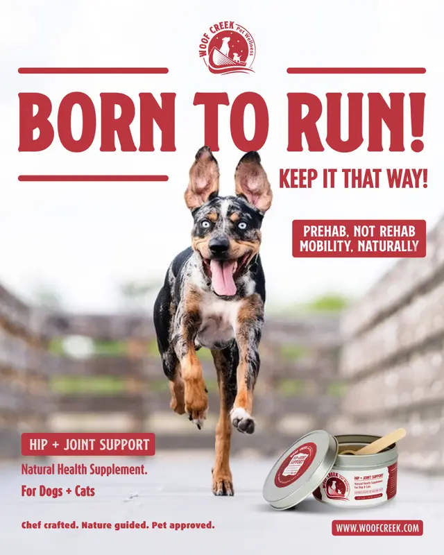 Woof Creek Pet Wellness