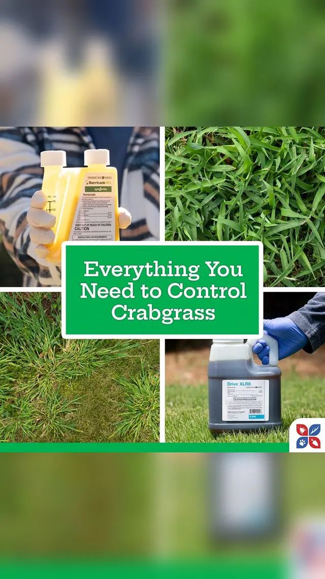 Domyown.com - DIY Pest Control, Lawn Care, and More
