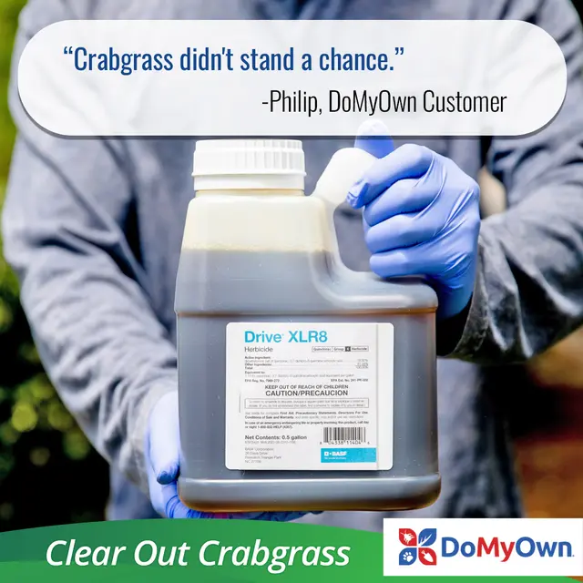 Domyown.com - DIY Pest Control, Lawn Care, and More