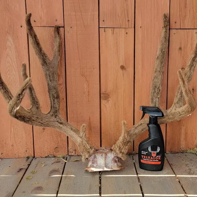 Velvet Antler Technologies
