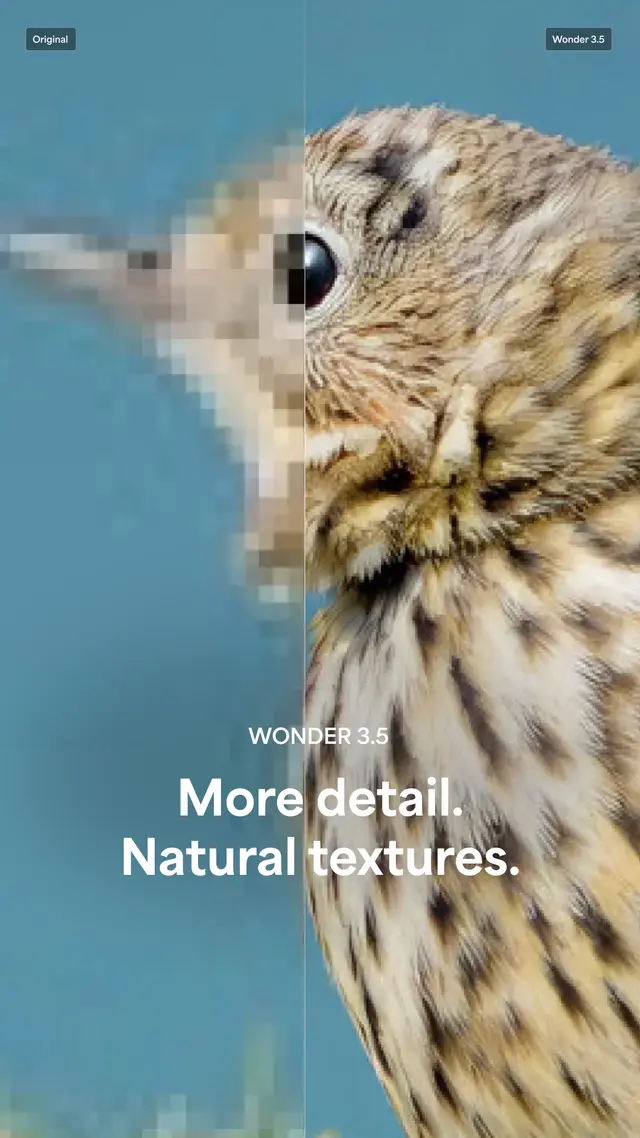 Topaz Labs