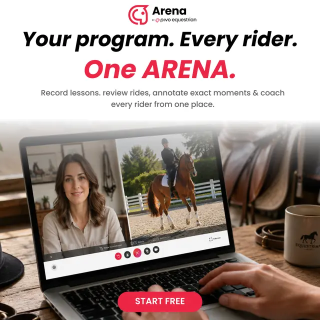 Pivo Equestrian