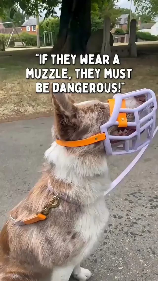 The Muzzle Movement
