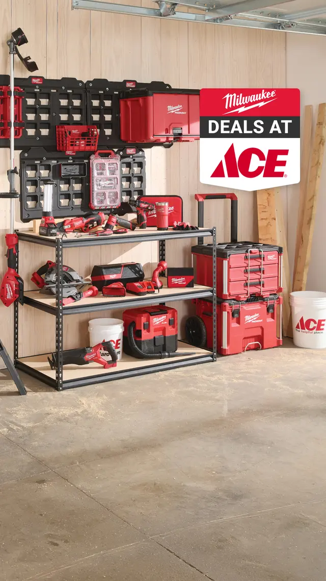 Ace Hardware